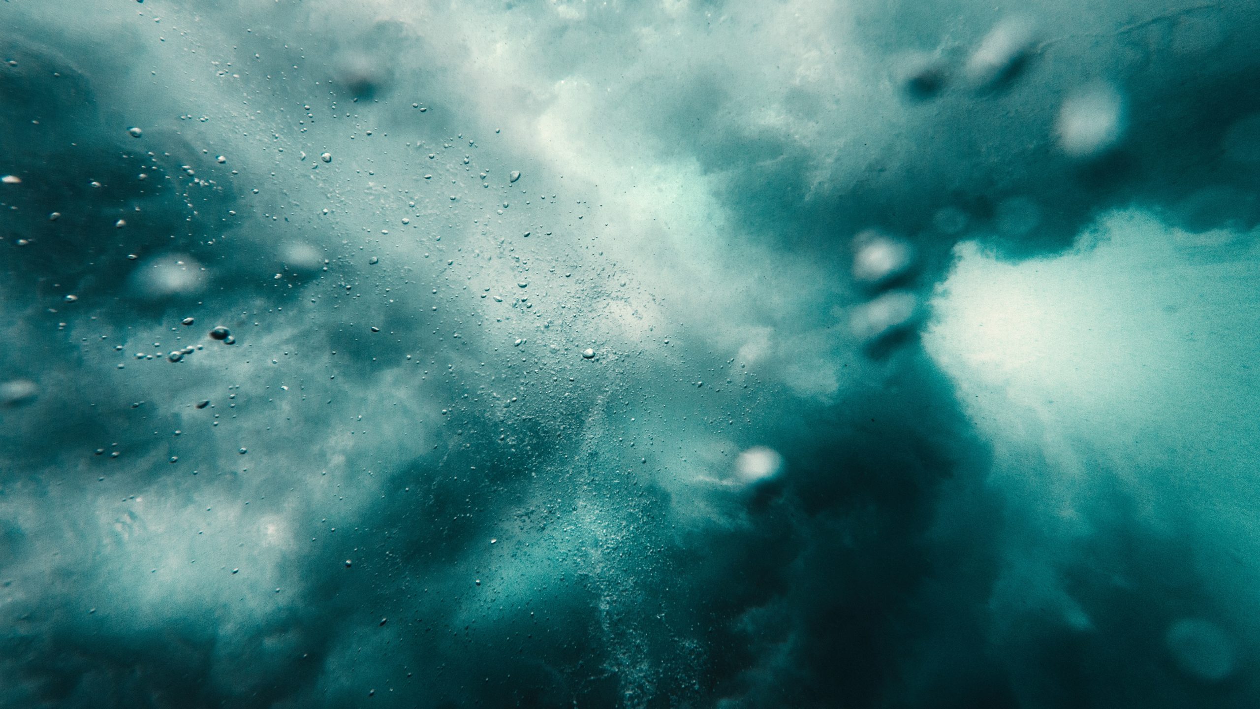 Foto: Emiliano Arano/Pexels